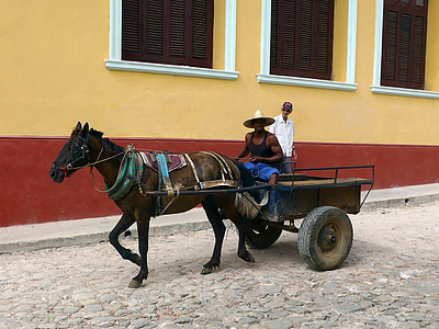 person riding horse with trailer thumbnail