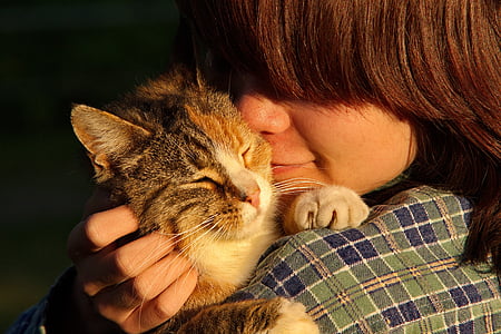 woman cuddling calico cat thumbnail