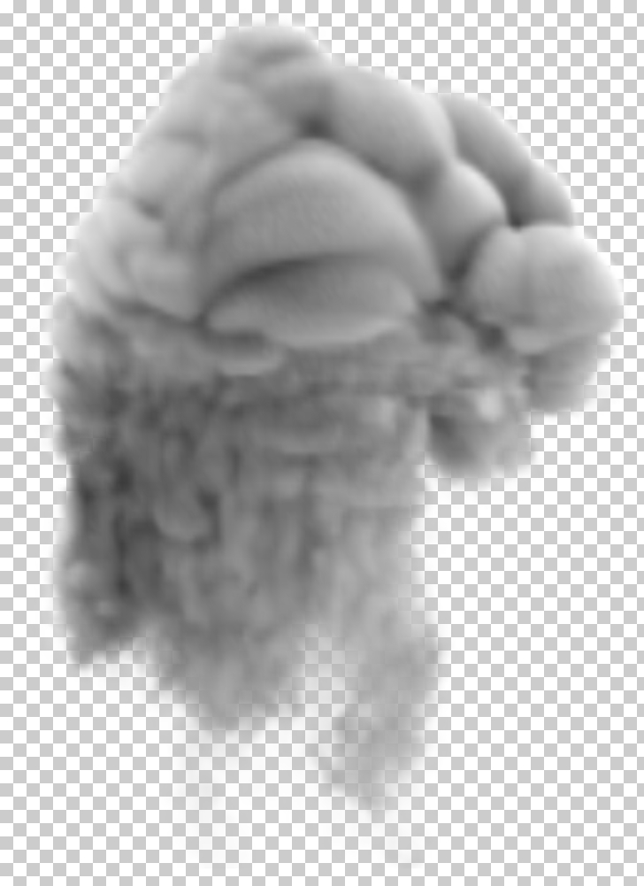 Smoke Rendering, Large Smoke Transparent , gray clouds PNG clipart