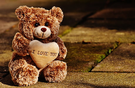 brown bear plush toy on concrete floor thumbnail