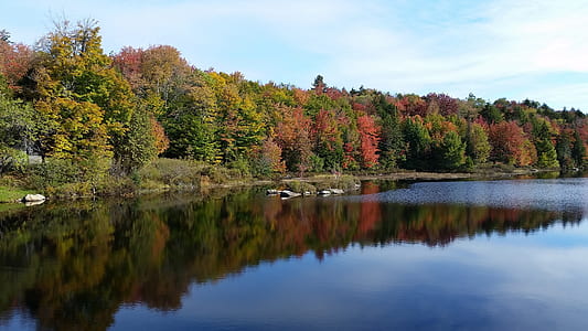 body of water near trees thumbnail