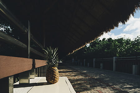 ripe pineapple on white panel under brown hut photo thumbnail