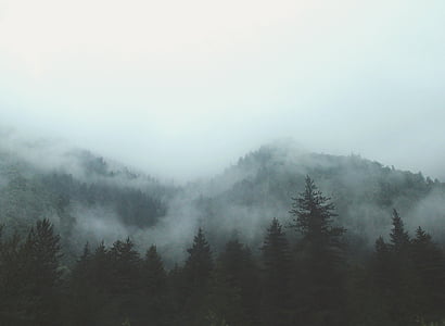 mountains covered with snow thumbnail