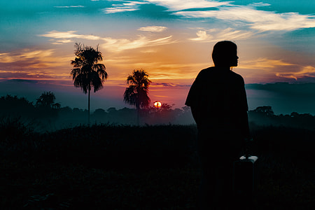 silhouette photo of human near coconut trees thumbnail