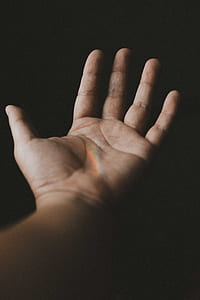 person's left hand thumbnail