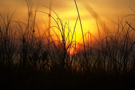light, sea, dawn, landscape thumbnail
