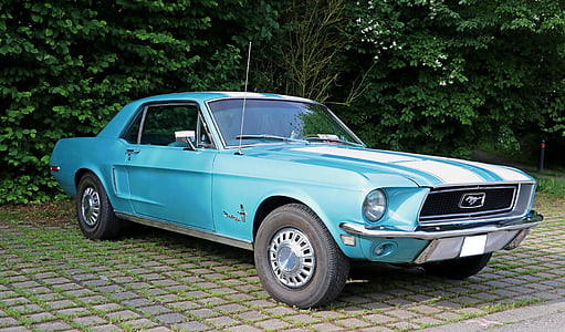 blue Ford Mustang coupe near green leaf tree at daytime thumbnail
