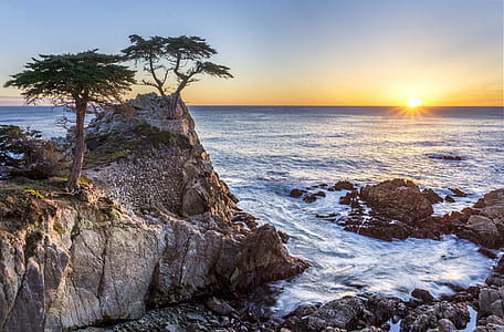 green leafed trees during sunset thumbnail