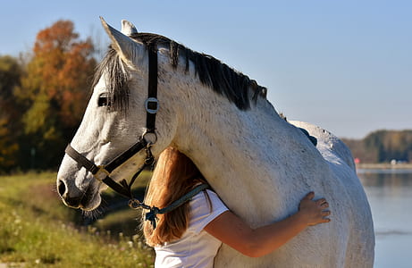 girl hugging white horse thumbnail