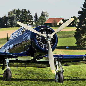 blue biplane thumbnail