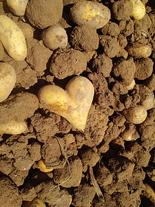 brown dirt thumbnail