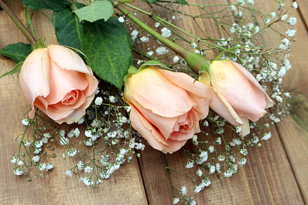 three beige Roses on brown wooden surface thumbnail