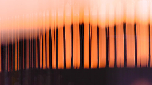 silhouette photo thumbnail