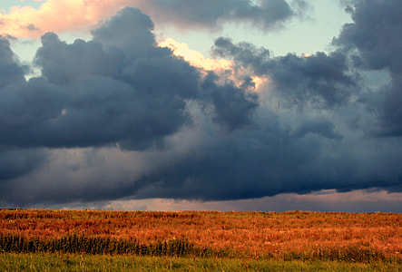 brown grass field under cloudy sky thumbnail