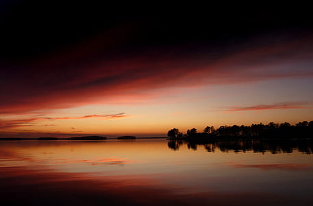 silhouette of trees on body of water during golden hour thumbnail