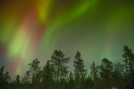 green Northern lights thumbnail