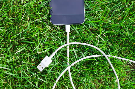 cable, connection, grass, technology thumbnail