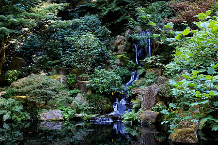 timelapse photography of flowing waterfall thumbnail