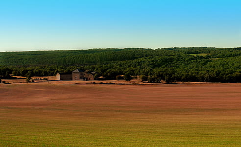 Farm - Rural Landscape - Southern France - Languedoc thumbnail