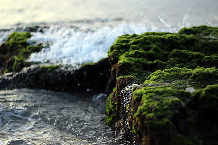 close up photography of beach thumbnail