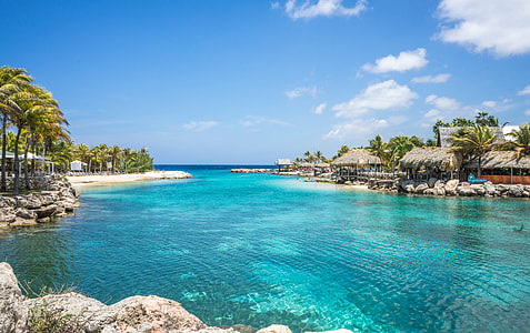 Tropical Lagoon in Willemstad, Netherlands thumbnail