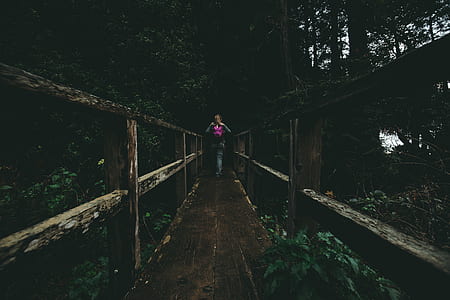 person walking on bridge thumbnail
