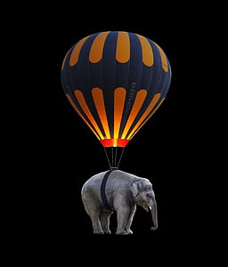 elephant with hot air balloon thumbnail