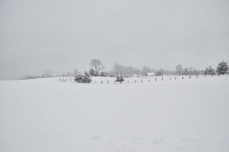 snow ground with house and trees ahead at daytime thumbnail