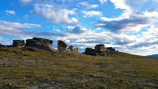 grass on land thumbnail