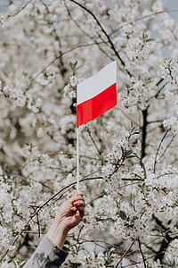 Flag of Poland - Polska Flaga thumbnail