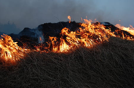 forest fire during night time thumbnail