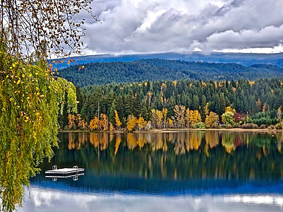 Panorama photo of green leaf trees beside lake near mountain ranges thumbnail