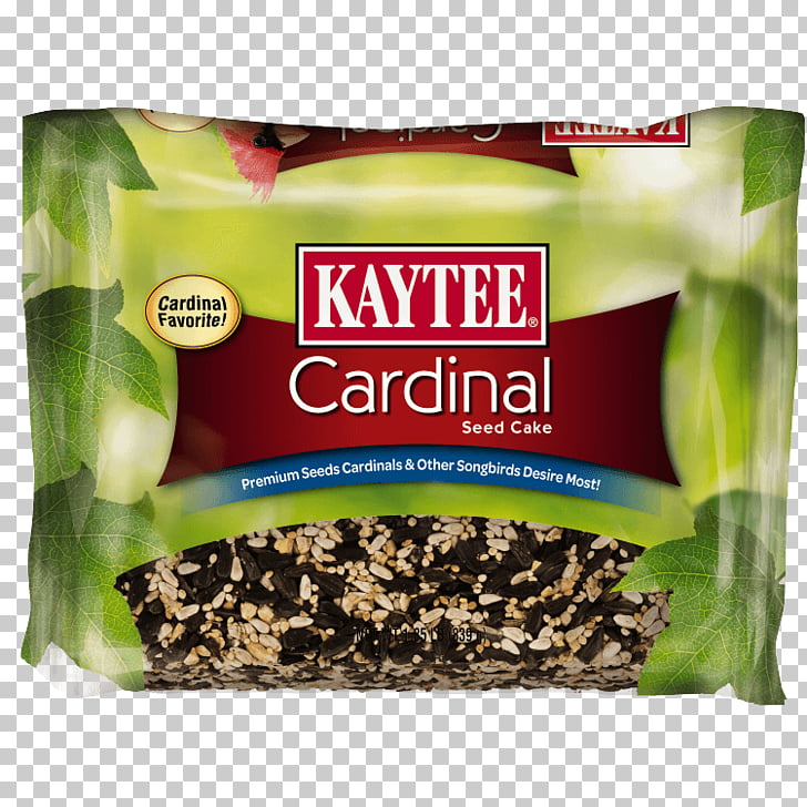 Bird Food Suet Cake Bird Feeders Bird Png Clipart Free Cliparts