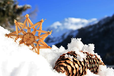 shallow focus photography of pine cone on snow during daytime thumbnail
