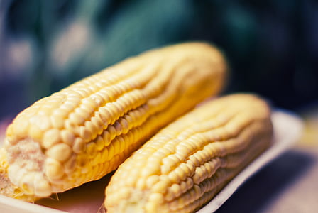 corn on plate thumbnail