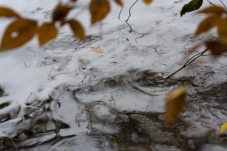 water ripples during daytime thumbnail