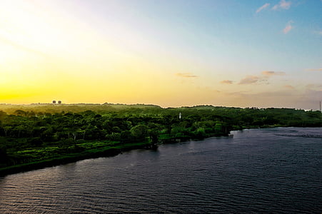 landscape photography of green trees beside lake during daytime thumbnail