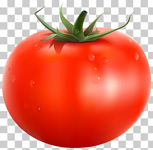 Papua New Guinea Tomato Vegetable, Tomato , red tomato illustration PNG clipart