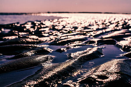Shallow Focus Photography of Mud thumbnail