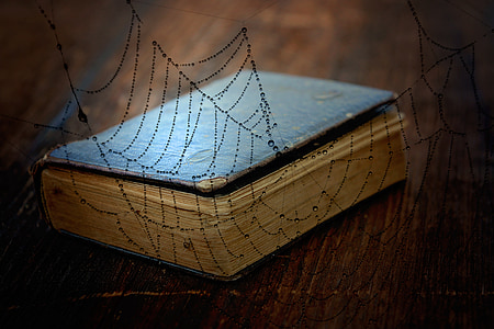 black labeled book thumbnail