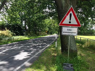 warning signage near of tree thumbnail