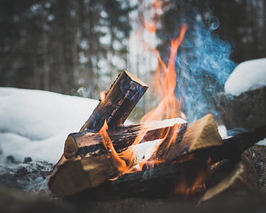 close up photo of bonefire thumbnail