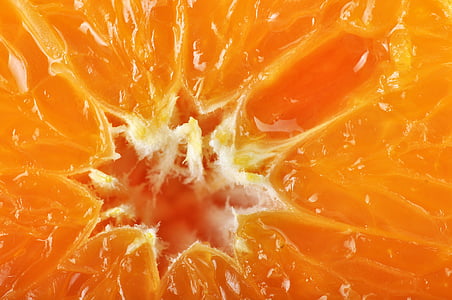 slice citrus thumbnail