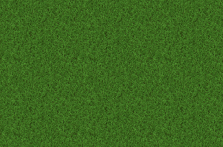 green grass, rush, grass, texture, background, pattern thumbnail