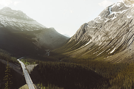 aerial view cement road surrounded by forest during daytime thumbnail