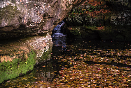 Waterfall within the gorge and leaves in the water at Pewit's Nest, Wisconsin thumbnail