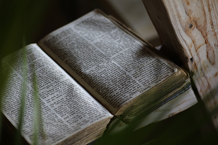 white book beside brown wood plank thumbnail