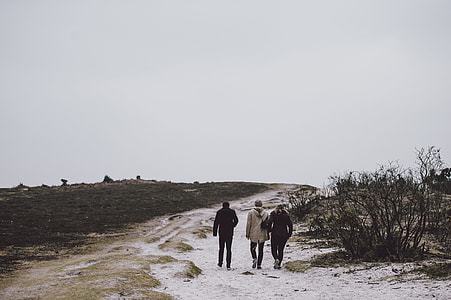 three people walking on sand beside plant during daytime thumbnail