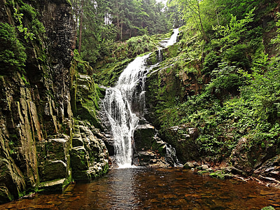 waterfalls surrounded by green trees thumbnail