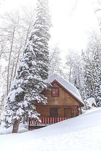 brown and red house surrounded by high trees covered by snow under white sky at daytime thumbnail